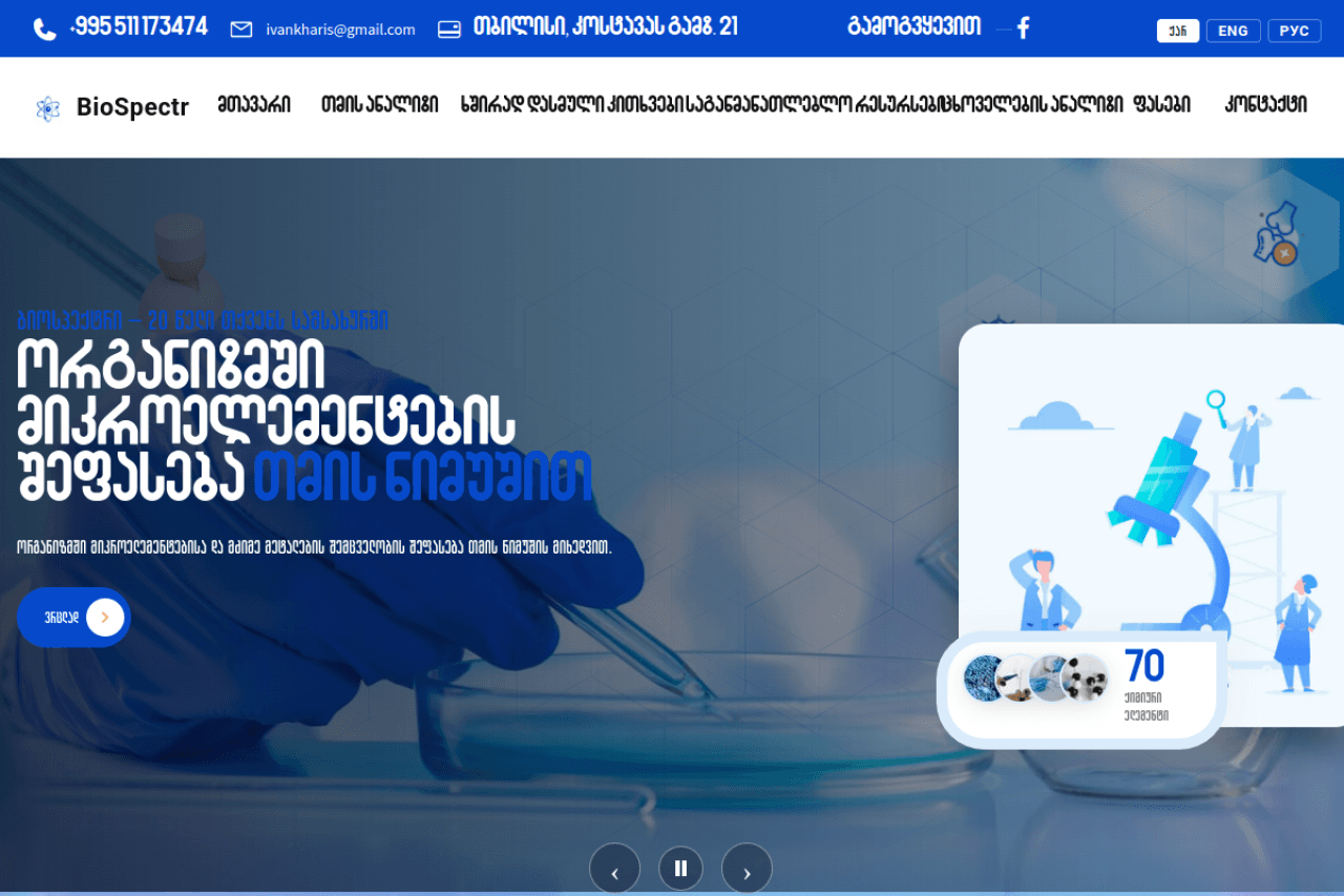 biospectr.ge, ვებ-გვერდის ხედი