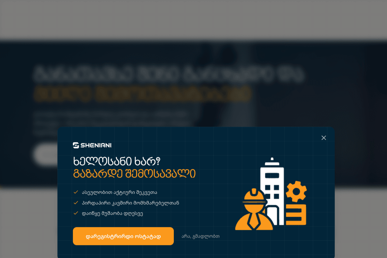 sheniani.ge, ვებ-გვერდის ხედი