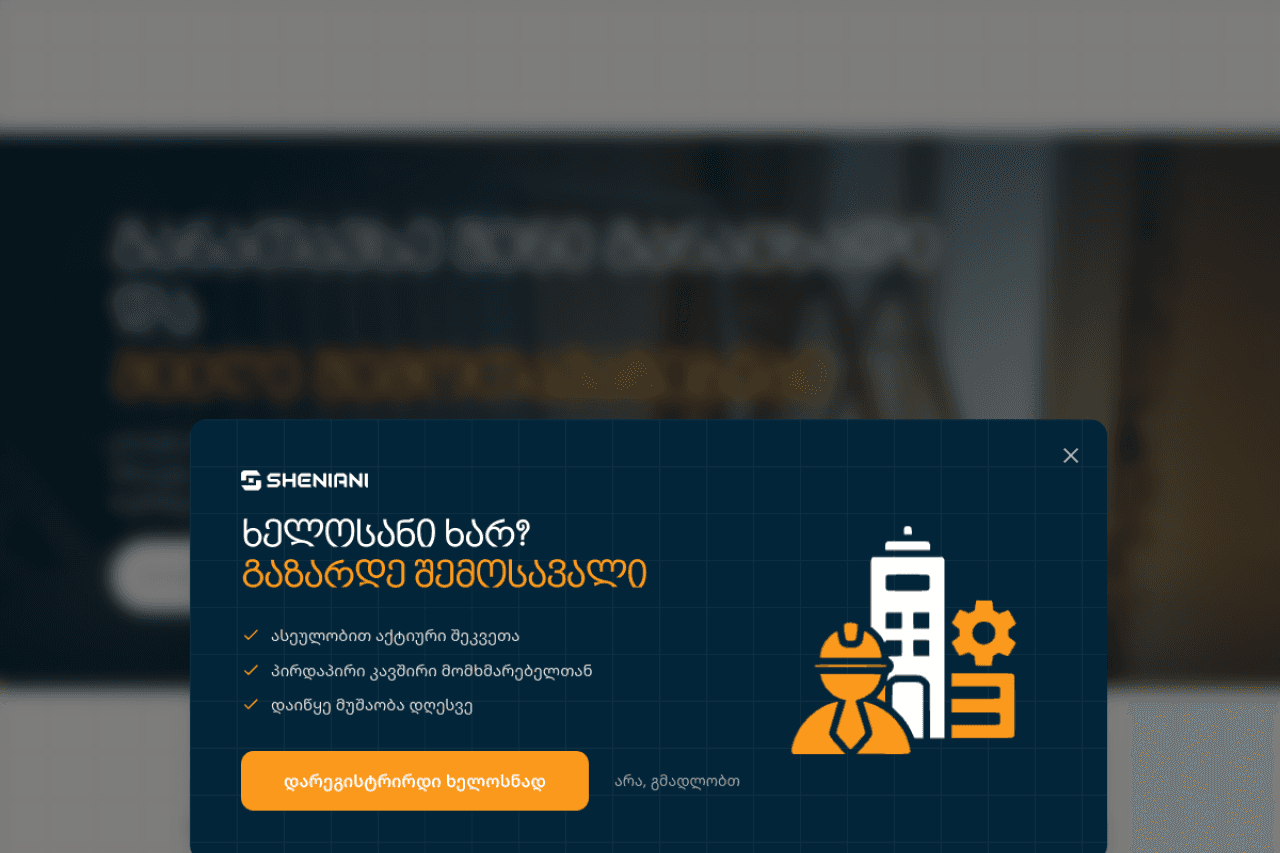 sheniani.ge, ვებ-გვერდის ხედი