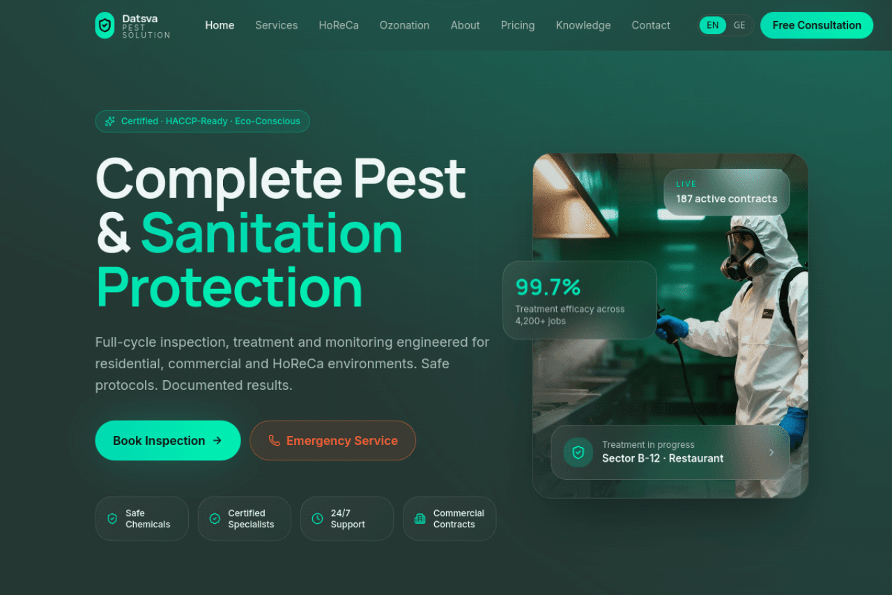 datsvapestsolution.ge, ვებ-გვერდის ხედი