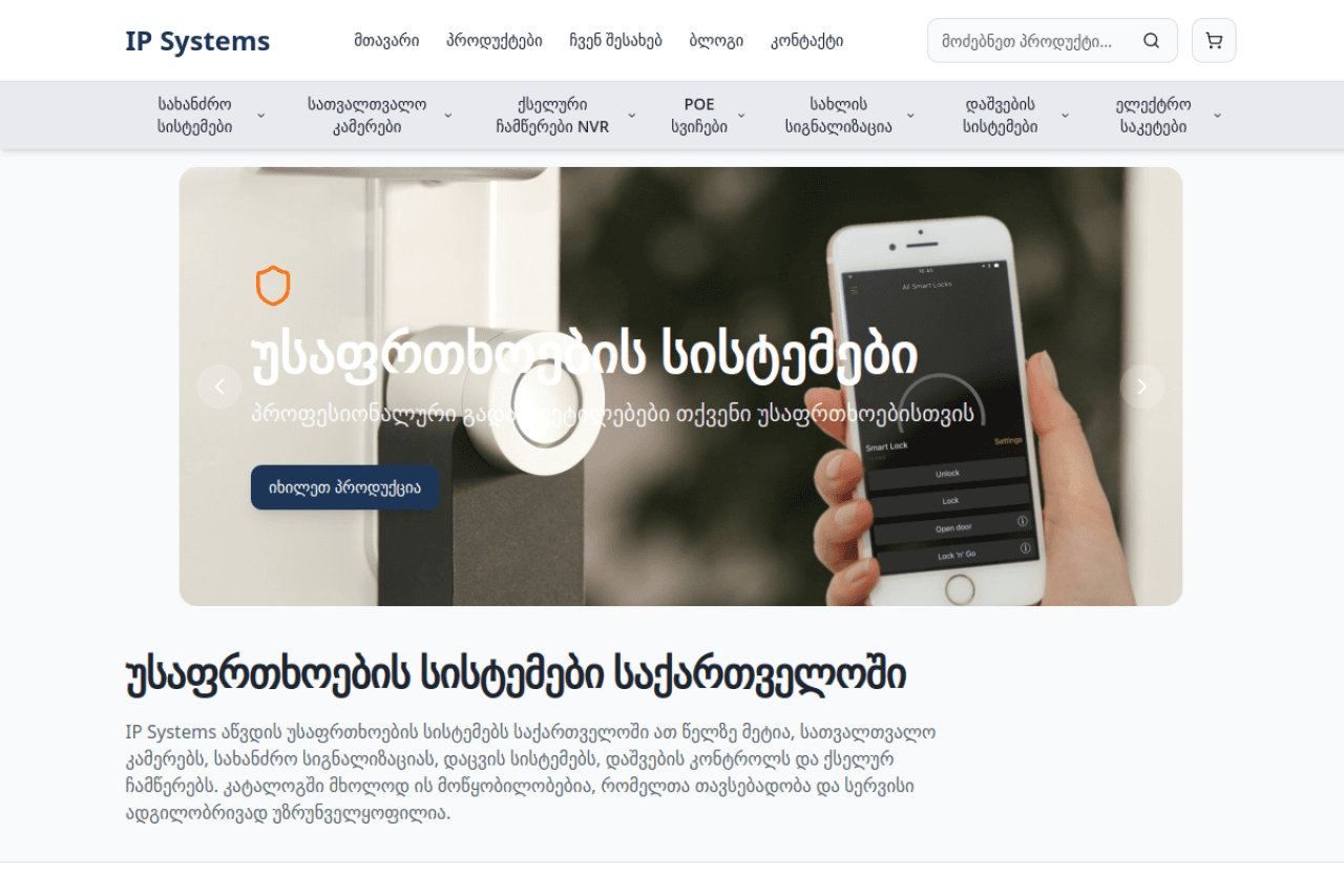 ipsystems.ge, ვებ-გვერდის ხედი