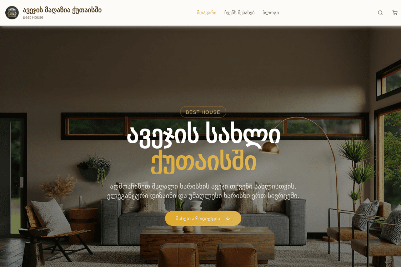 besthousekutaisi.ge, ვებ-გვერდის ხედი