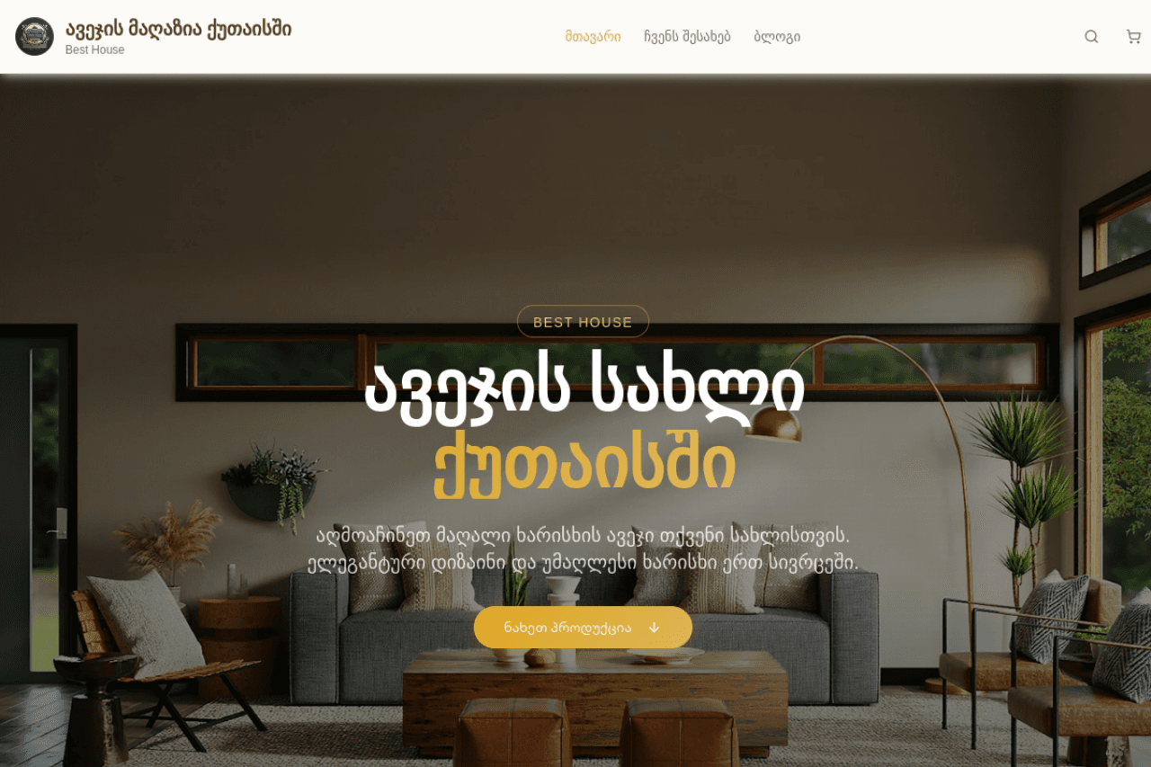 besthousekutaisi.ge, ვებ-გვერდის ხედი