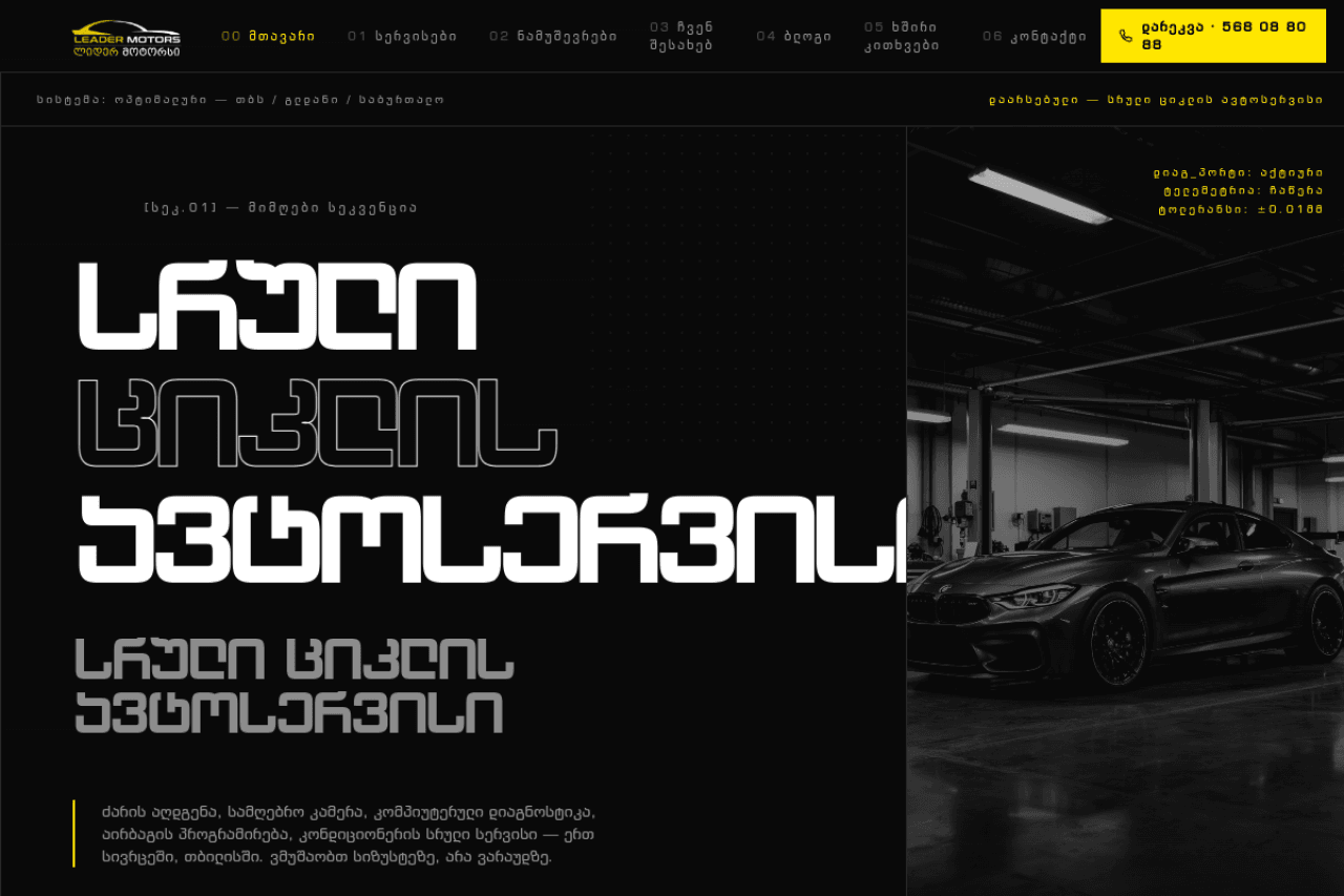 Leadermotors.ge, ვებ-გვერდის ხედი