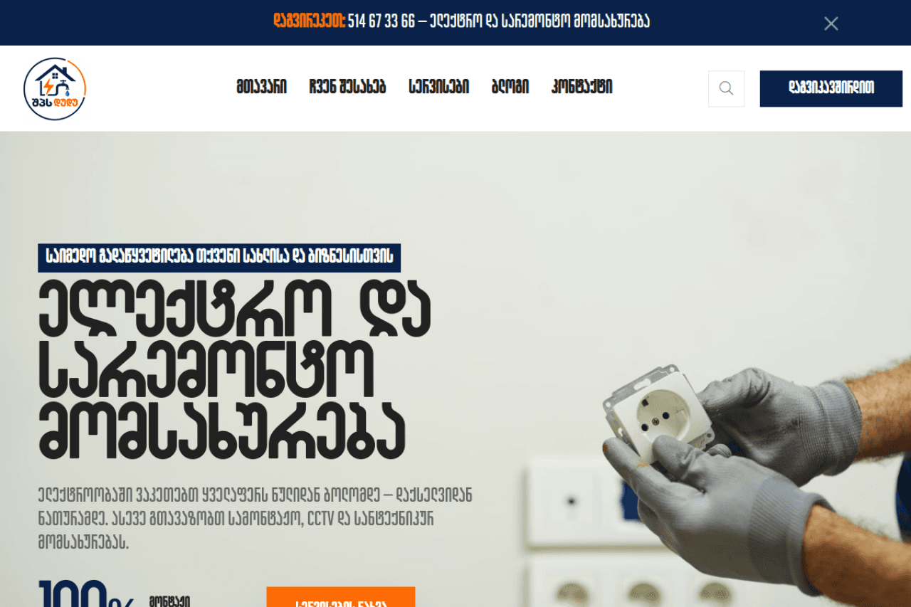 duduservice.ge, ვებ-გვერდის ხედი