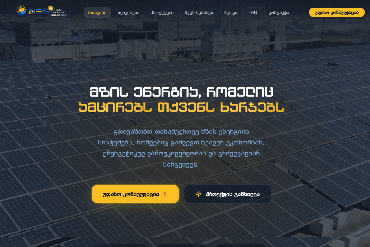 nextenergysolution.ge, ვებ-გვერდის ხედი