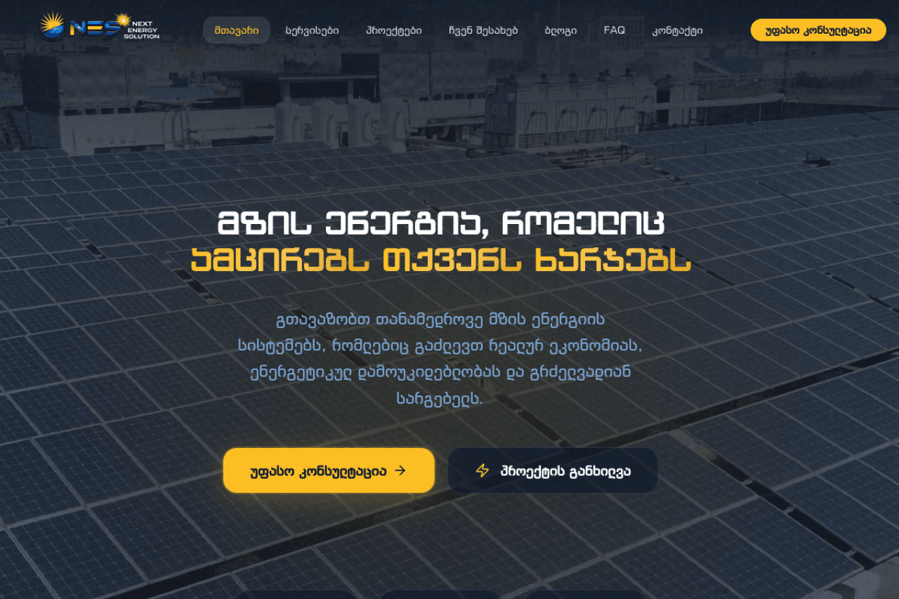 nextenergysolution.ge, ვებ-გვერდის ხედი