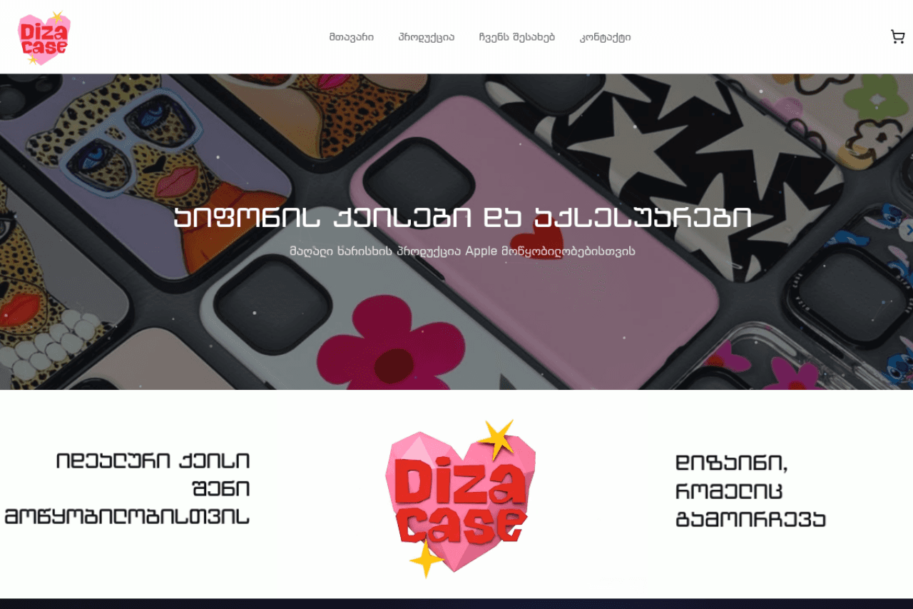 dizacase.ge, ვებ-გვერდის ხედი