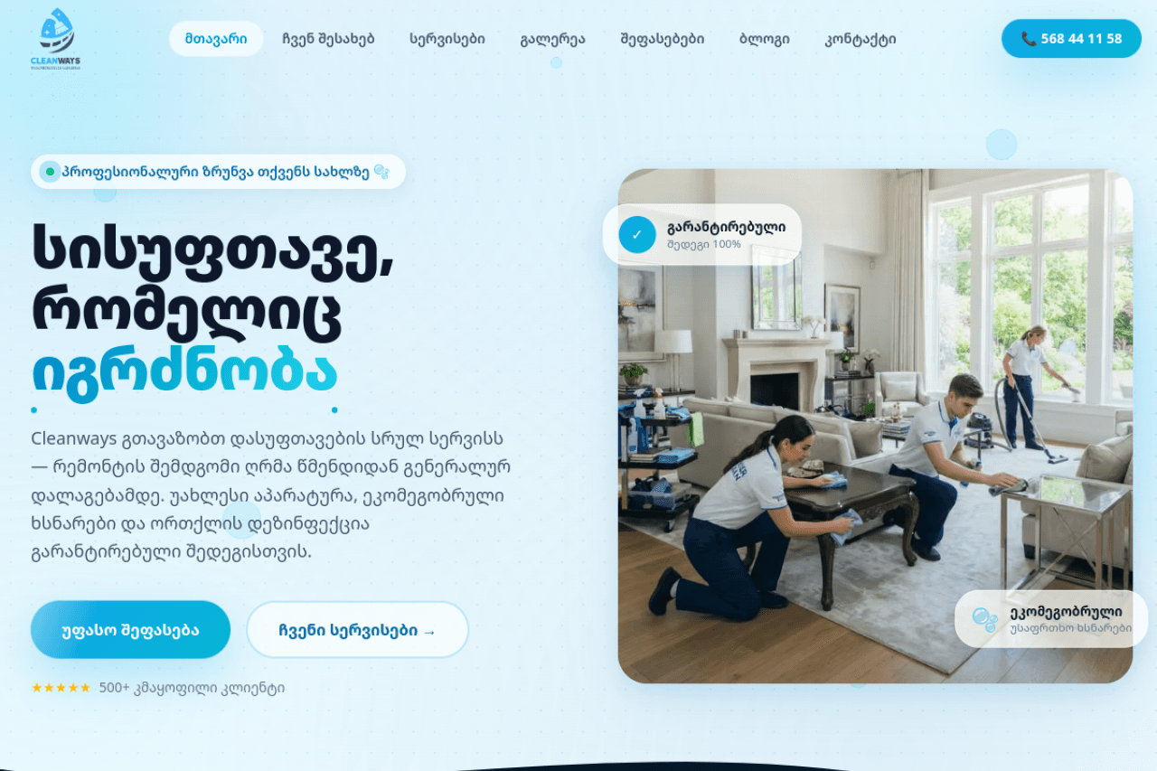 cleanways.ge, ვებ-გვერდის ხედი